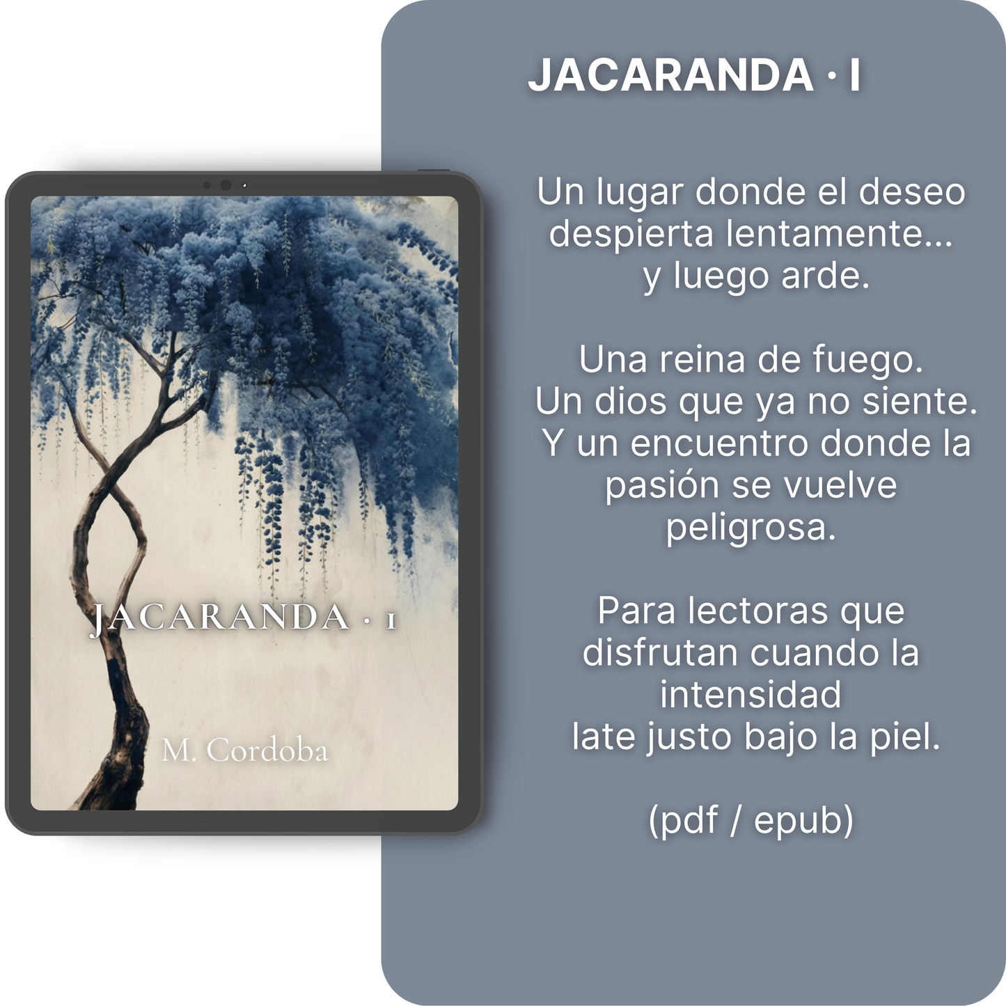 Jacaranda Vol. 1