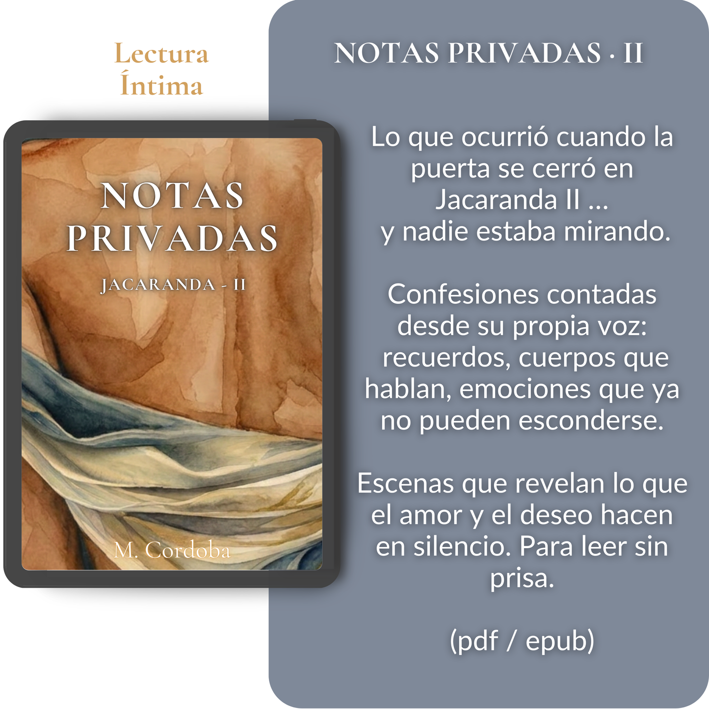 Notas Privadas Vol. 2