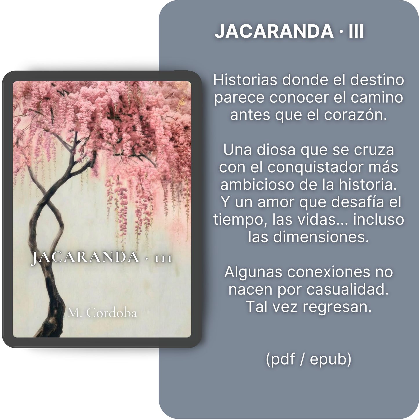 Jacaranda Vol. 3